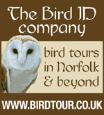 Visit Birdtour for your Norfolk birding