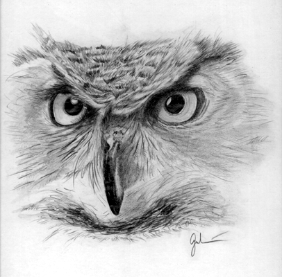 Great Horned Owl - sketch by Tony Galvan