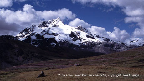photo - Puna zone, Peru