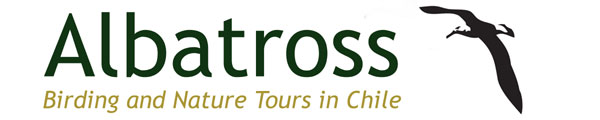 Albatross Tours - click here