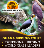 Ashanti African Tours