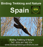 Birding Trekking and Nature