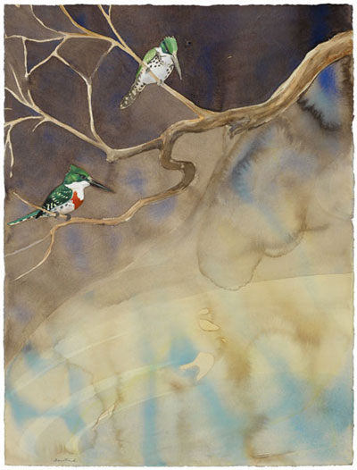 Green Kingfisher by David Broom