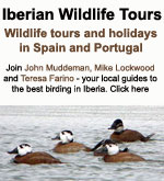 Iberian Wildlife Tours