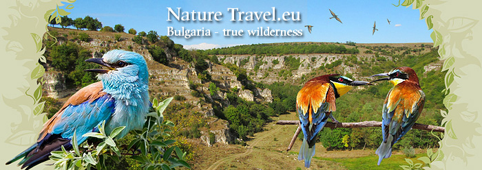 Bulgaria - Nature Travel