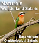 Nature's Wonderland Safaris