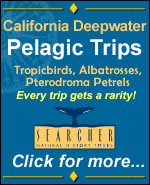 Searcher Natural History Tours - click here