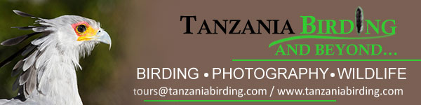 Tanzania Birding and Beyond