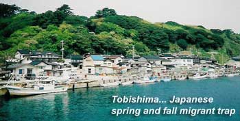 Tobishima, Japan