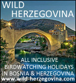 Wild Herzegovina